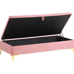 Leen Bakker ABERDEEN - Ottomaan met opbergruimte - Roze - Fluweel New