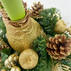 Plant in a Box Amaryllis - Hippeastrum 'Kerstkransmix'