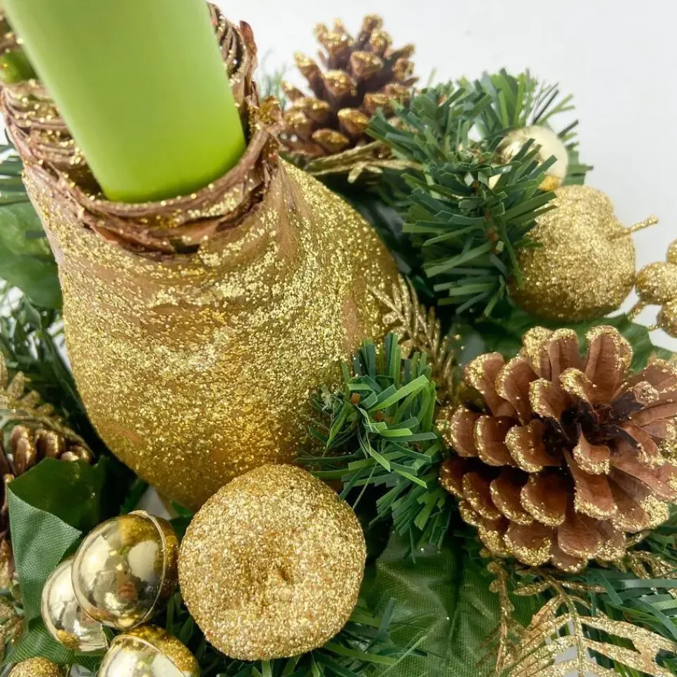 Plant in a Box Amaryllis - Hippeastrum 'Kerstkransmix'