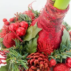 Plant in a Box Amaryllis - Hippeastrum 'Kerstkrans' - Rood Hot