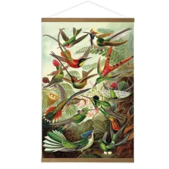 Art for the Home Linnen Hanging Poster Hummingbirds 80x60cm Hot