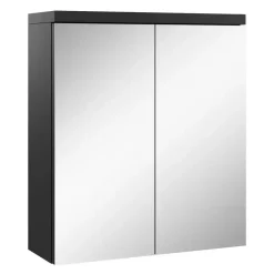 Badplaats Spiegelkast Toledo 60 x 20 x 60 cm - Zwart - Badkamerkast Badkamer Hot