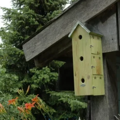 Best for Birds Vogelhuisje - mussenflat - hout - 51 x 19 cm Discount