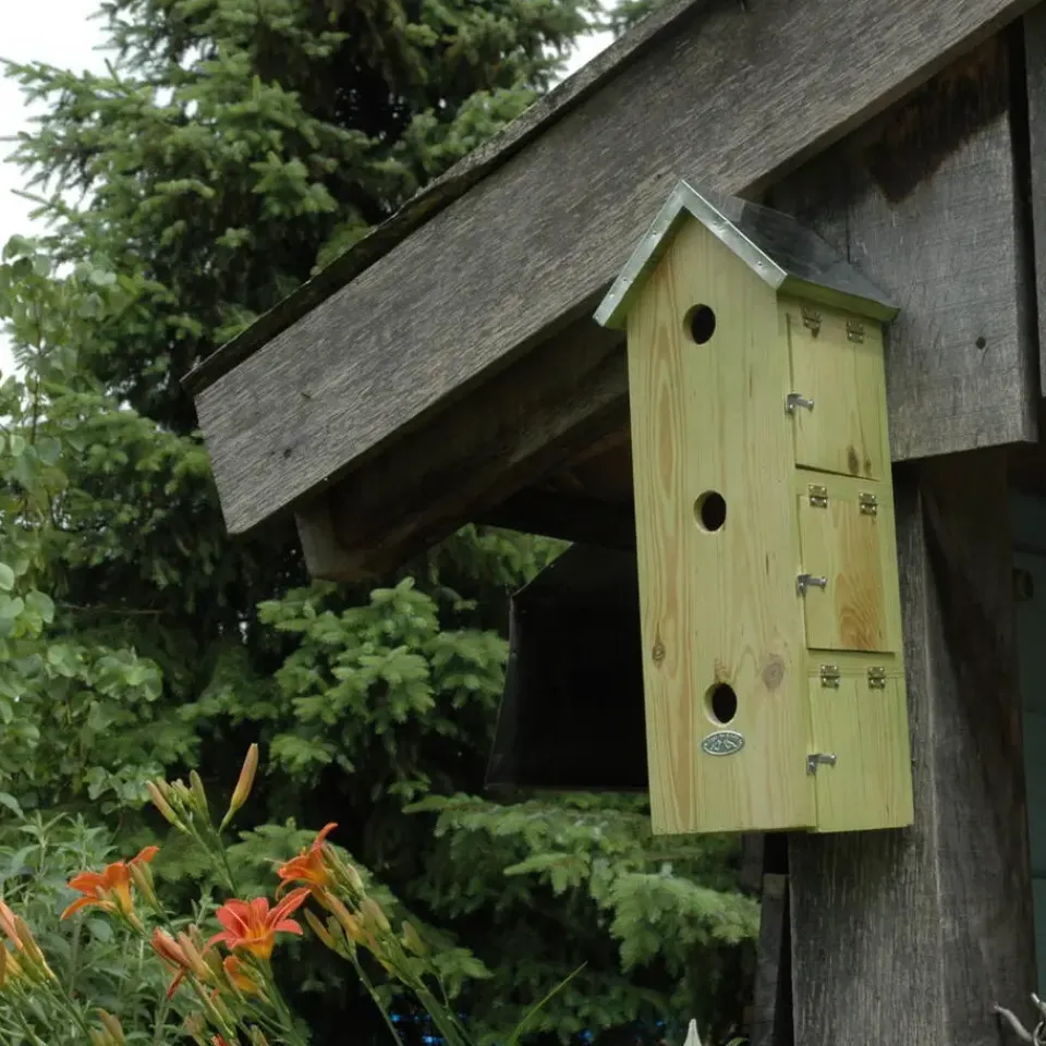 Best for Birds Vogelhuisje - mussenflat - hout - 51 x 19 cm Discount