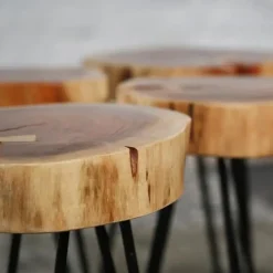 Dimehouse Bijzettafel Boomstam Arbor acaciahout - 32x32x45 cm - Hout - Bruin New