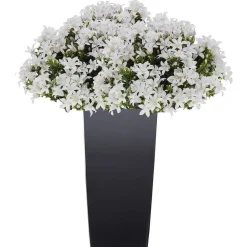 Prosperplast Bloempot/plantenpot Urbi - antraciet - 24 x 24 x 45 cm Clearance