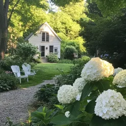 Plant in a Box Bolhortensia - Set van 2 - Hydrangea 'Strong Annabelle' - Hoogte 30-40cm - ⌀19cm Outlet