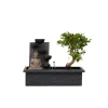 Plant in a Box Bonsai met Buddha - Bonsai - Hoogte 25-35cm - ⌀29cm Sale