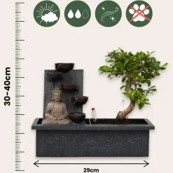 Plant in a Box Bonsai met Buddha - Bonsai - Hoogte 25-35cm - ⌀29cm Sale