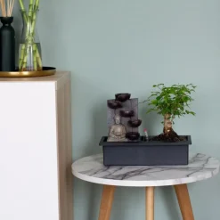 Plant in a Box Bonsai met Buddha - Set van 2 - Bonsai - Hoogte 25-35cm - ⌀29cm