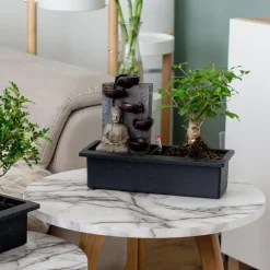 Plant in a Box Bonsai met Buddha - Set van 2 - Bonsai - Hoogte 25-35cm - ⌀29cm