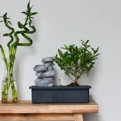 Plant in a Box Bonsai met waterval - Set van 2 - Bonsai - Hoogte 25-35cm - ⌀29cm