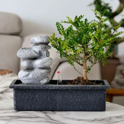 Plant in a Box Bonsai met waterval - Set van 2 - Bonsai - Hoogte 25-35cm - ⌀29cm