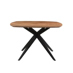 Livingfurn Brix - Eetkamertafel Brix Bjorn - Eettafel- 120cm - Mangohout - Bruin Hot