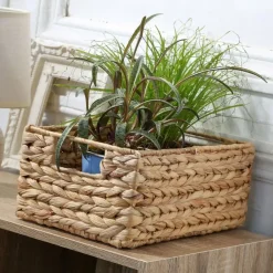 Calicosy - Mand - Beige - 13x28x19 cm Clearance