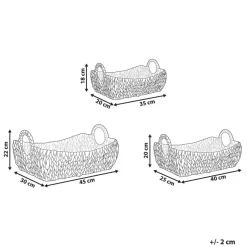Beliani CAMPHA - Manden set van 3 - Natuurlijk - Waterhyacint Discount
