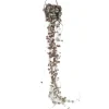 Plant in a Box Chinees lantaarnplantje - Ceropegia linearis Woodii - Hoogte 20-30cm - ⌀14cm Clearance