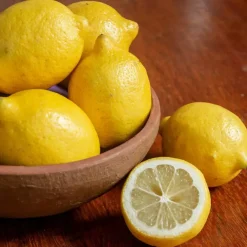 Plant in a Box Citroenboom - Set van 3 - Citrus limon - Hoogte 25-40cm - ⌀9cm Online