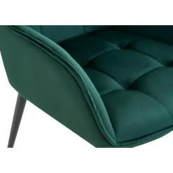 CLP Eetkamerstoel Ferndale zwart Frame - Kunststof - donkergroen