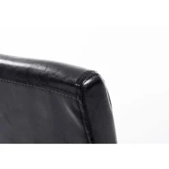 CLP Eetkamerstoel Ina natura Frame - Kunstleer - zwart Online