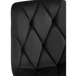 CLP Set van 2 Eetkamerstoel Clairton zwart Frame - Fluweel - zwart Hot