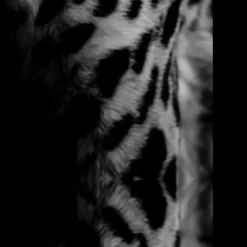 Vica International Deurmat Cheetah antraciet/blauw - 50x150 cm