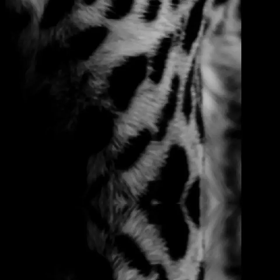 Vica International Deurmat Cheetah antraciet/blauw - 50x150 cm