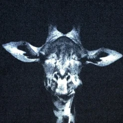 Vica International Deurmat Wild Life Giraffe - 66x120 cm Best