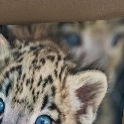 Pure Duvet cover 140x220 + 1* 60x70 cm New