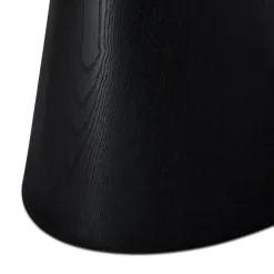 Giga Living Eettafel Ovaal 160cm - Zwart Eikenhout - 4-6 Personen - Tango New