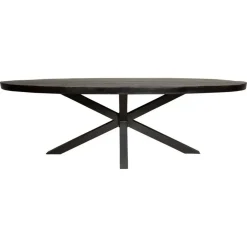 StarFurn Eettafel Ovaal Zwart Hout - 300x120x76cm - Denver Best