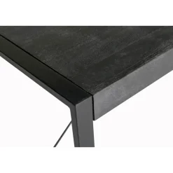 Livingfurn Eettafel Rechthoek 160cm - Zwart Mangohout - 2-4 personen - Norris New