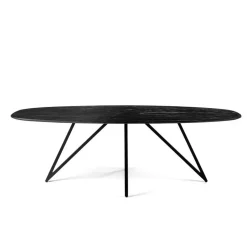 Giga Living Eettafel Zwart Acaciahout - Ovaal - 240x110x76cm - Langford Discount