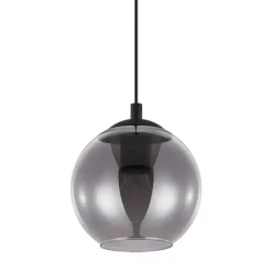 EGLO Ariscani Hanglamp - E27 - Ø 20 cm - rookglas - Zwart Best