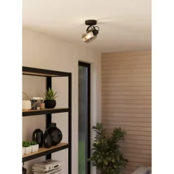 EGLO Berregas Spot - E27 - Rookglas - Zwart Hot