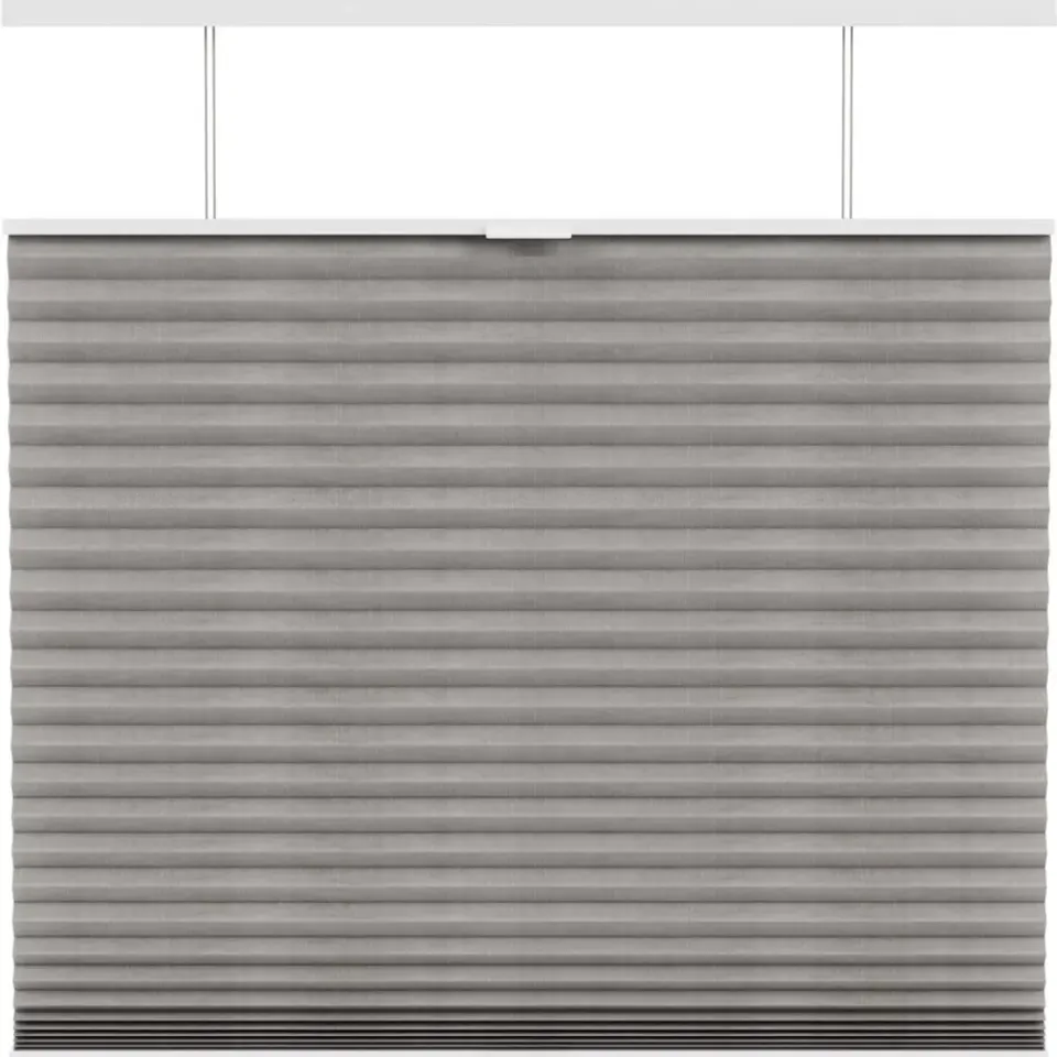 Fenstr plisségordijn Sidney dubbel 45mm transparant - taupe (30026) Sale