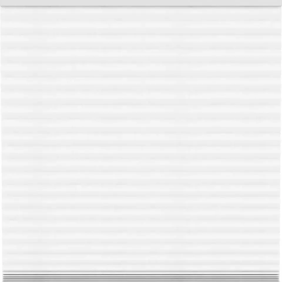 Fenstr plisségordijn Sidney dubbel 45mm transparant - taupe (30026) Sale