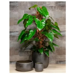 Floran Plantenpot Mira - keramiek - zwart - 18 x 16 cm Outlet