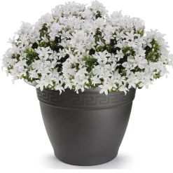 Forte Plastics Bloempot - antraciet - rond - kunststof - 60 cm Sale