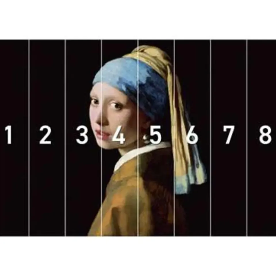 Reinders Fotobehang Vermeer Meisje met de parel - 260 x 384cm - Zwart Outlet