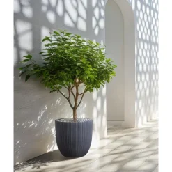 Leen Bakker FRAXINUS - Bloempot - Grafietgrijs - MgO Online