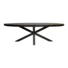Furndea Eettafel Morada industrieel ovaal mangohout zwart 300x120x76cm