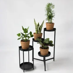 Plant in a Box Gemakkelijke kamerplanten - Set van 4 incl. mand - Hoogte 25-40cm - ⌀12cm Sale