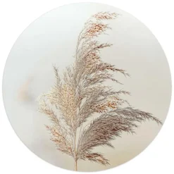 Reinders Glasschilderij Pluim in de wind - Ø 50cm - Beige Outlet