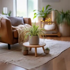 Plant in a Box Graslelie - Chlorophytum comosum 'Atlantic' - Hoogte 25-40cm - ⌀12cm Online