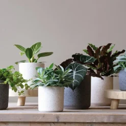 Hakbijl Glass Hakbijl Plantenpot/bloempot Cindy - keramiek - D17 x H17 cm Discount