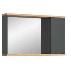 Merkloos Hioshop Nuaro spiegelkast 1 deur grijs Outlet