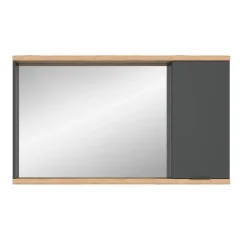 Merkloos Hioshop Nuaro spiegelkast 1 deur grijs Outlet