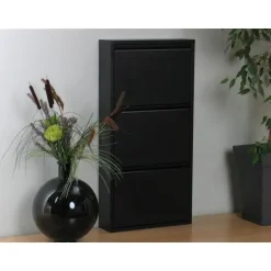 Hioshop Pisa schoenenkast zwart metaal met 3 vakken