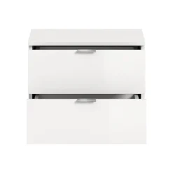 Hioshop ProjektX schoenenkast 2 laden wit hoogglans